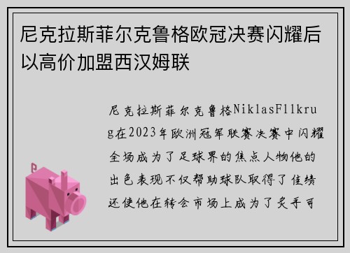 尼克拉斯菲尔克鲁格欧冠决赛闪耀后以高价加盟西汉姆联 尼克拉斯菲尔克鲁格欧冠决赛闪耀后以高价加盟西汉姆联